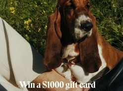 Win a $1K Hush Puppies Gift Card