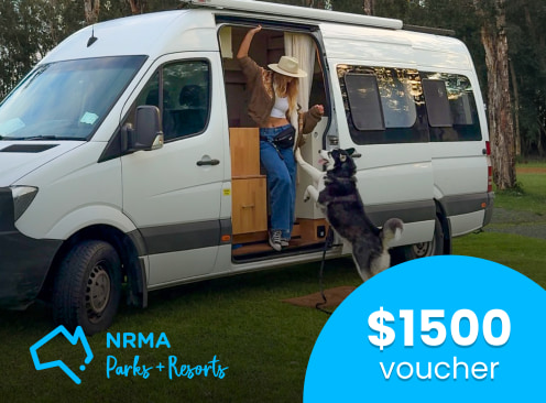 Win the Ultimate International Dog Day Camping Giveaway - Camplify