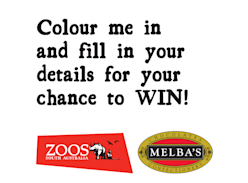 Win a Lions 360 Family Experience - Zoos SA