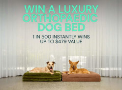 Win a Luxurious Orthopedic Dog Bed - Dazy Dog