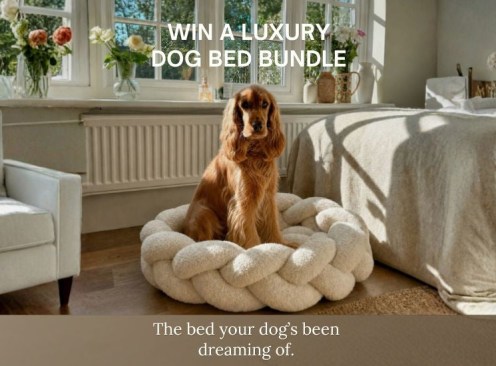 Win a Luxury Dog Bed + Blanket + Collar + Perfume - The Hersh Bed