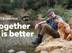 Win a Luxury Trip with your Dog