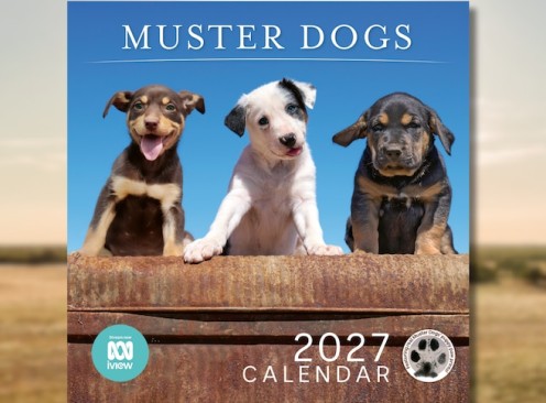 Win 1 of 10 Muster Dogs Wall Calendars - ABC