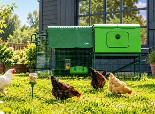 Win a $450 Omlet (Chicken & Pet Products) Voucher - Omlet