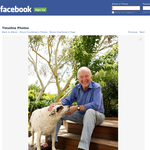 Win one of 3 special animal Mementos