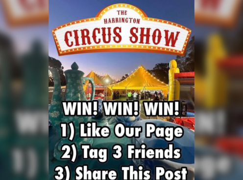 The Harrington Circus Show