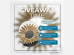 Win a Paulowina Spike Mirror