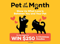 Win a $250 Petbarn Voucher & $100 Christmas Goodies