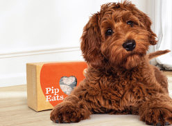 Win 1 of 5 Pip Eats Dog Food Packs (3-Month Supply)