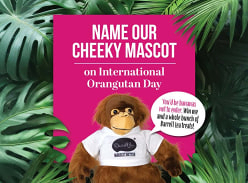 Win 1 of 3 Plush Orangutans & a Stash of Darrell Lea Treats