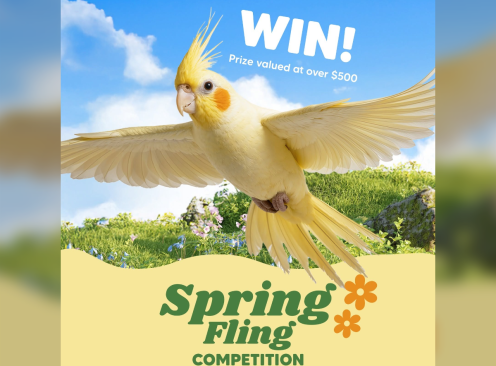 Win a Premium Bird Treats Pack - Vetafarm