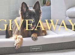 Win a Premium Kangaroo Bed Package - Kangaroo Bed