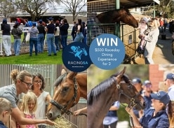 Win a Premium Raceday Dining Experience