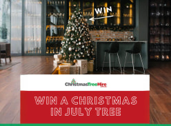 Christmas Tree Hire