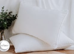 Win Renew Tencel Pillows