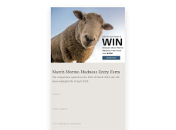 Win Sherpa's March Merino Madness Pack