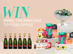 Win Six Champagnes, Cheese Gift Box, Chocolate Dipped Strawberries and Gourmet Hamper