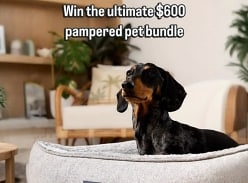 Win up to $600 Worth of SPG Goodies