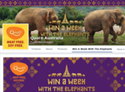 Win the chance to spend a week in Thailand at the Elephant rescue sanctuary!