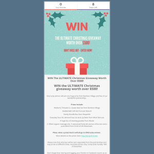 Win the ultimate Christmas giveaway worth over $500!