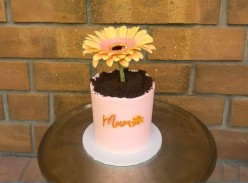 Reina Cakes