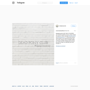 Win three chokers of your choice - total valued at $75 - Dead Pony Club