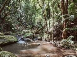 Win a Three-Night Retreat with Bower Camp Co
