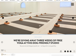 Win three weeks free yoga at dog-friendly studio