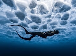 Win Tickets to an Exclusive After-Hours Event at Ocean Photographer of the Year