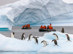 Win a Trip to Antarctica with Today - Today Show