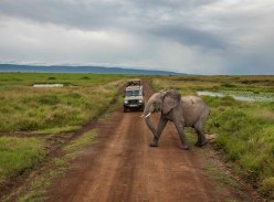 Win a Trip to Tanzania for Two - G Adventures