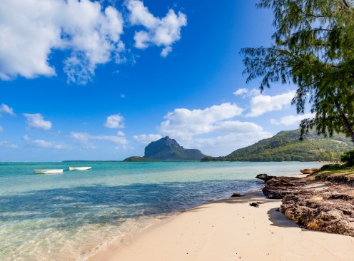 Win a Tropical Family Adventure with Today - Today Show