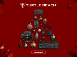 Turtle Beach