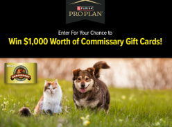 Win 1 of 5 $1K Visa Digital Gift Cards