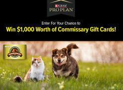 Win 1 of 5 $1K Visa Digital Gift Cards