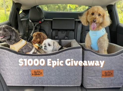 Indie Boho Pet Supplies
