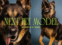 Win Wahl's Next Pet Model 2025 Competition