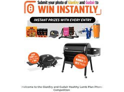 Win a Weber Smokefire EX6 & More