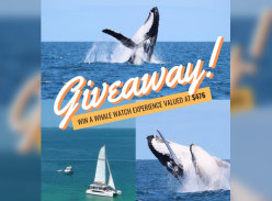 Win 1 of 2 Whale Watching Experiences - MiGoldCoast