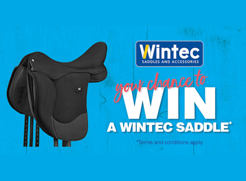 Win a Wintec Saddle - Wintec Saddles