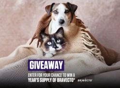 Win a Year's Supply of Bravecto&reg; - Bravecto Australia