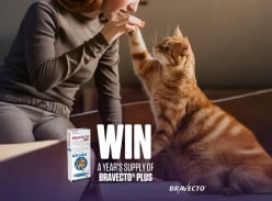 Win a Year's Supply of Bravecto Plus for Cats - Bravecto Australia