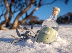 Win a Year's Supply of Gindu - Gindu