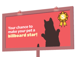 Win Your Pet Picture on a Billboard and a $5K Swaggle Voucher