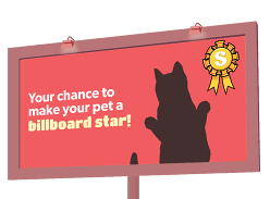 Win Your Pet Picture on a Billboard and a $5K Swaggle Voucher