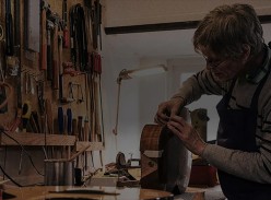 Zager Guitar